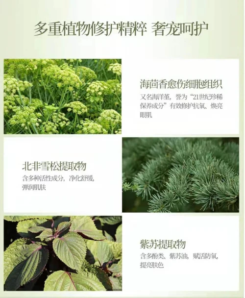 植迷荟眼部精华 植迷荟眼部精华