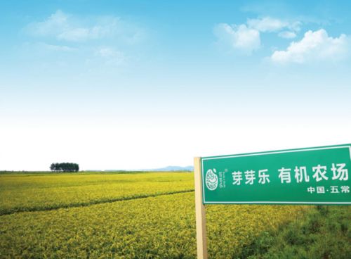 芽芽乐，奥运冠军为它打call的胚芽米!