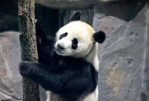 图片11.jpg